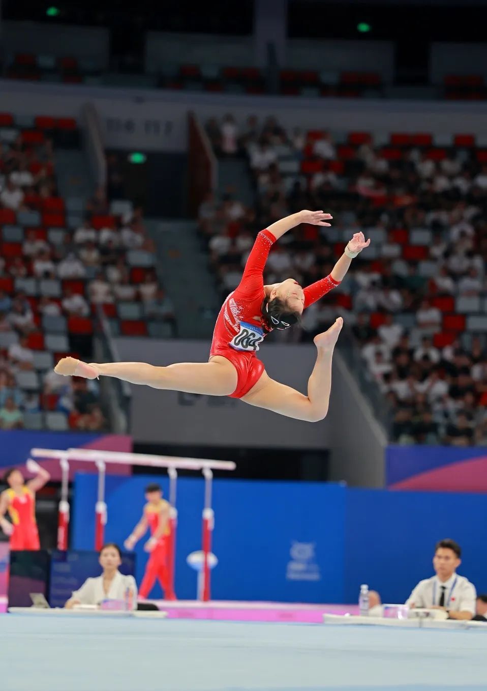 体操巨星再创辉煌，卫冕跳马冠军的简单介绍