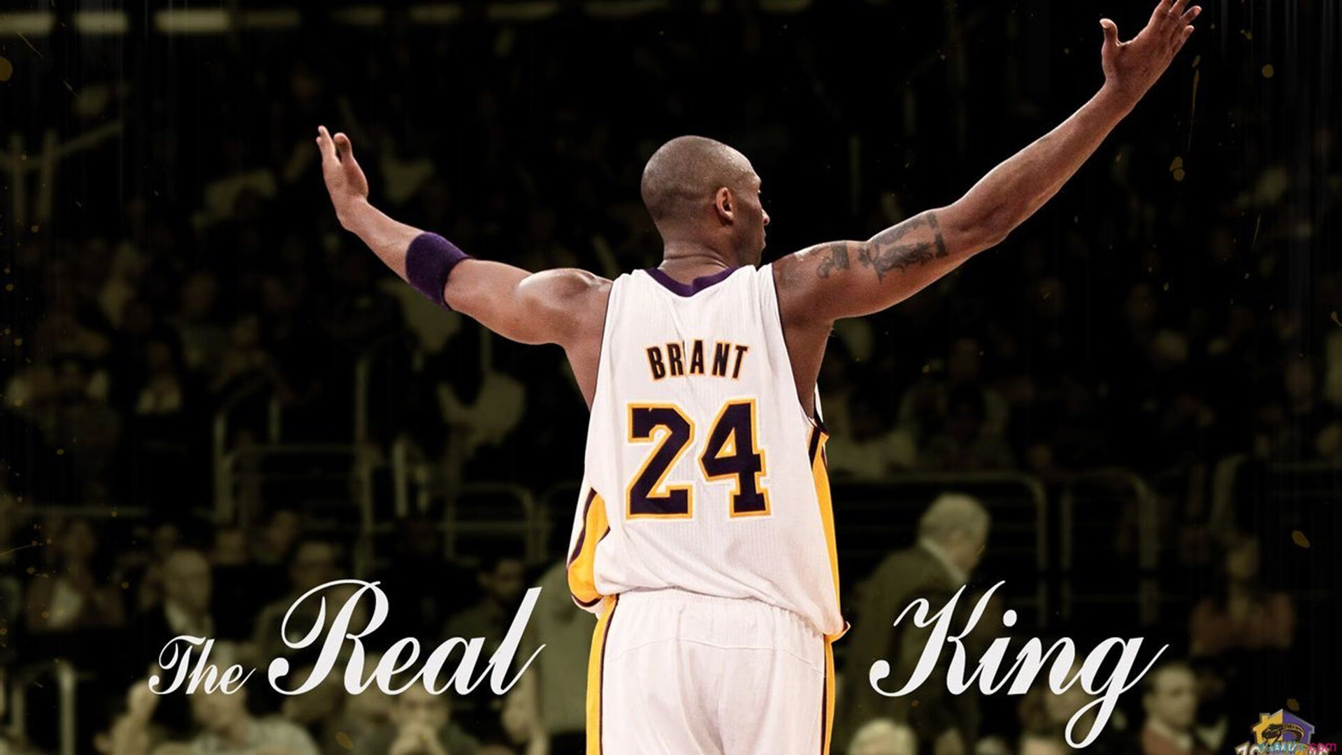 武切维奇统治禁区，开拓者铁血防守绞杀掘金进攻命脉